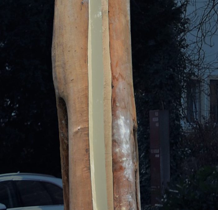 Lichtbaum – Ein Baum als besonderer Licht-Raum